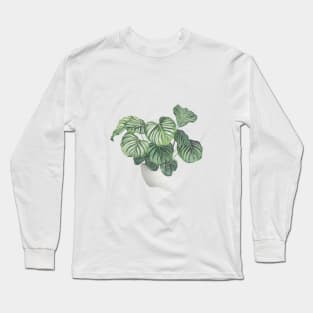 Potted Calathea Plant Long Sleeve T-Shirt